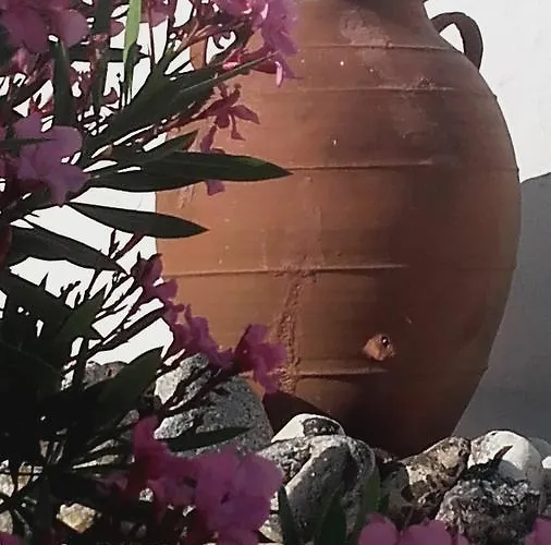 Nyaraló The Windmill