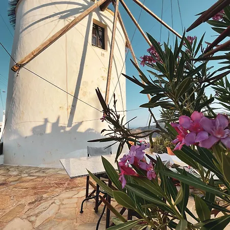 The Windmill *
