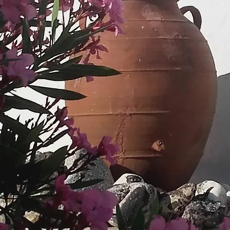 בית נופש The Windmill